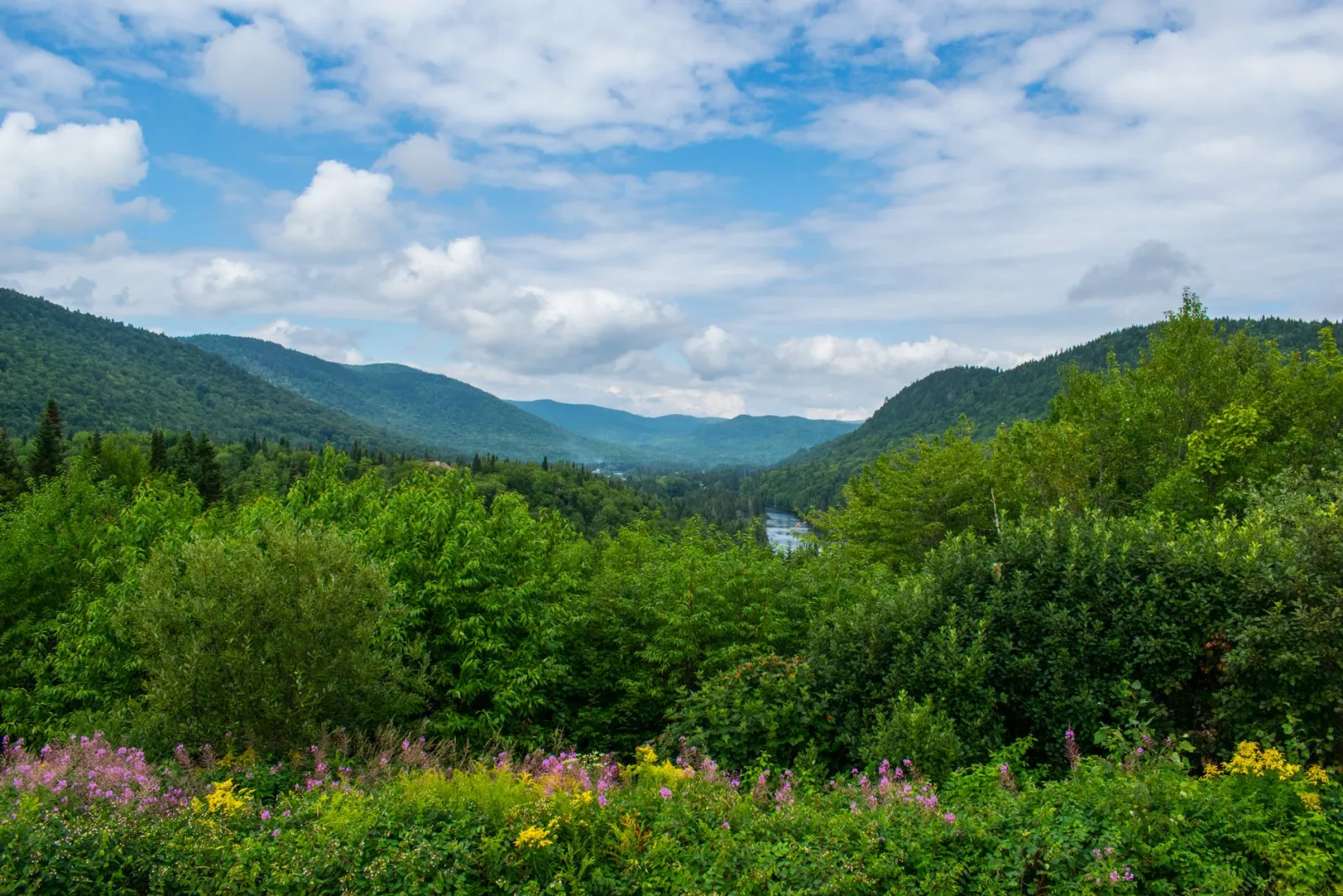 Zone de pêche 25 au Québec